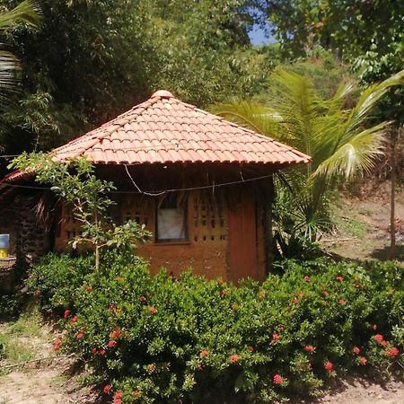 Ecopousada Casa Do Carimbo Fortalezinha Algodoal Exterior foto